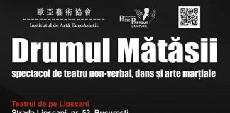 Drumul Matasii - Teatru si Arte Martiale