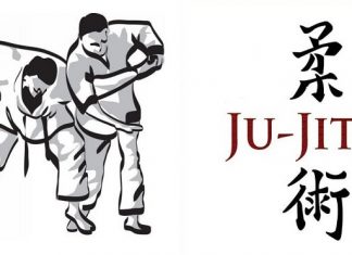 Istoria Ju Jitsu Romania