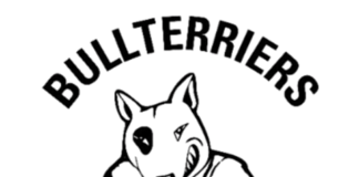 Bullterriers Fight Academy